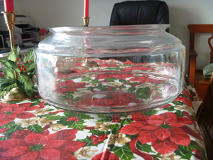Fish Bowl - Side View