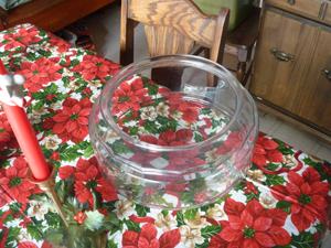 Fish Bowl Top View